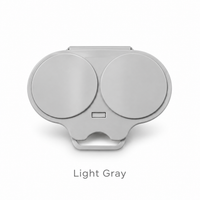 Light Gray